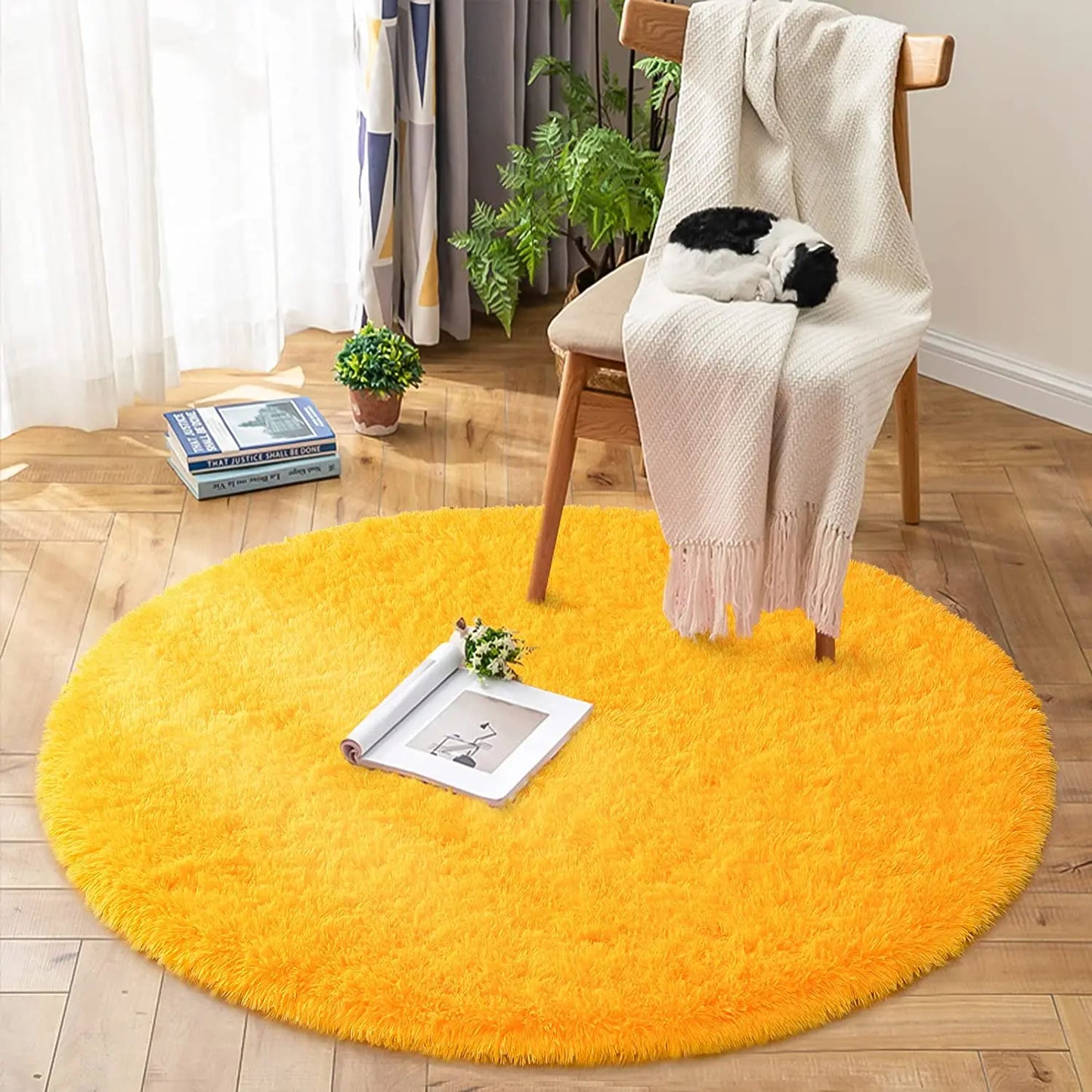 Round Thick Carpet for Living Room