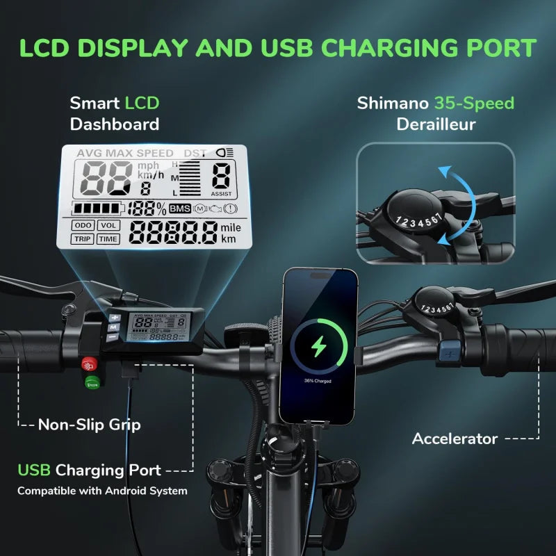 Qisinwheel M10 Adult Electric Mountain Bike
