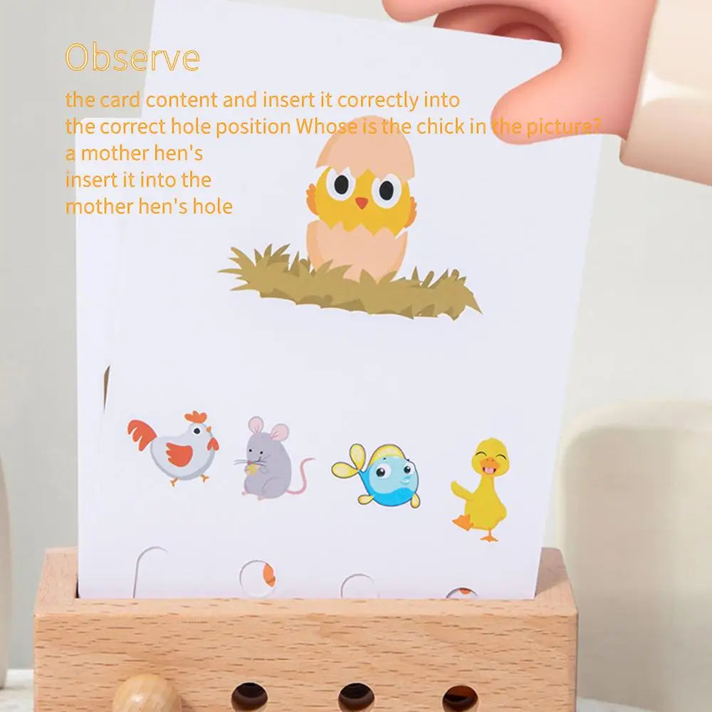 Preschool Early Education Flashcards