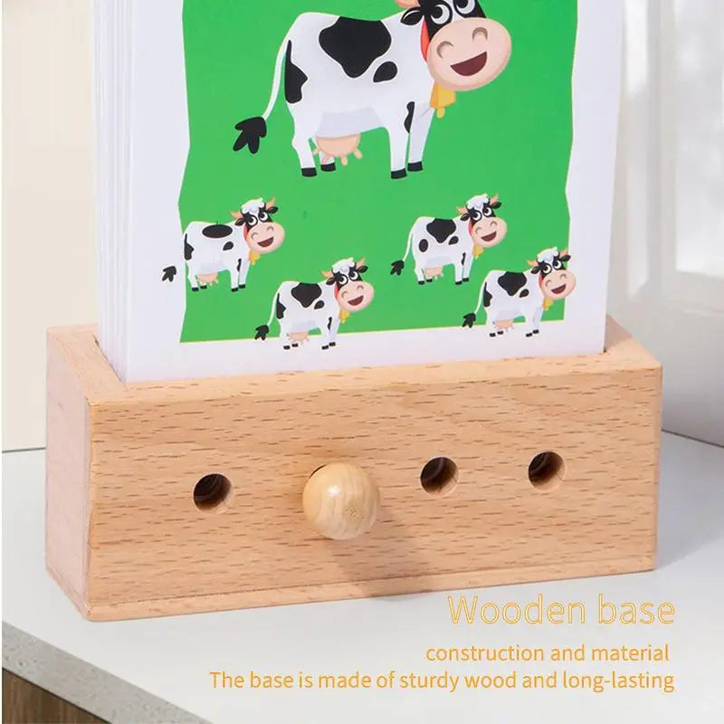 Preschool Early Education Flashcards