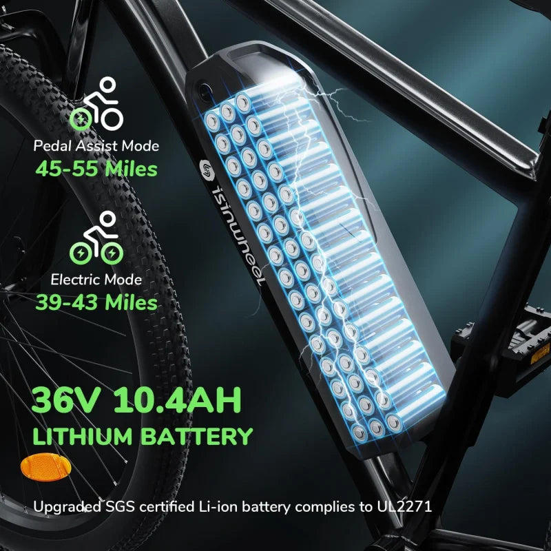 Qisinwheel M10 Adult Electric Mountain Bike