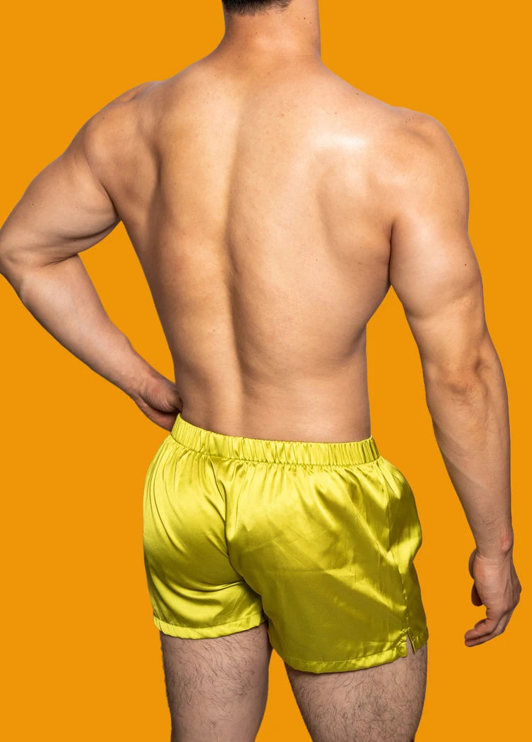 Men's Low-Rise Silk Smooth Boxer Briefs