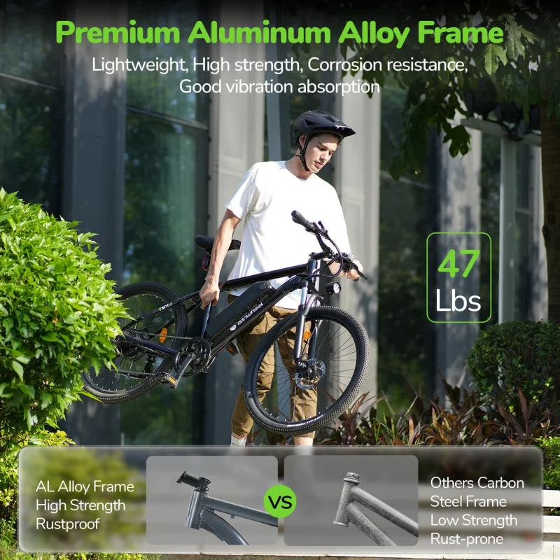 Qisinwheel M10 Adult Electric Mountain Bike