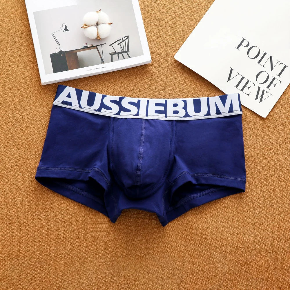 Men’s Low Waist Cotton Briefs