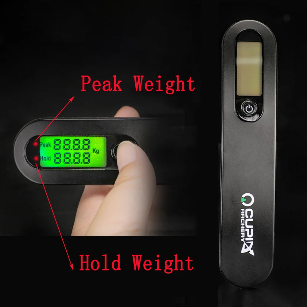 42040413913169