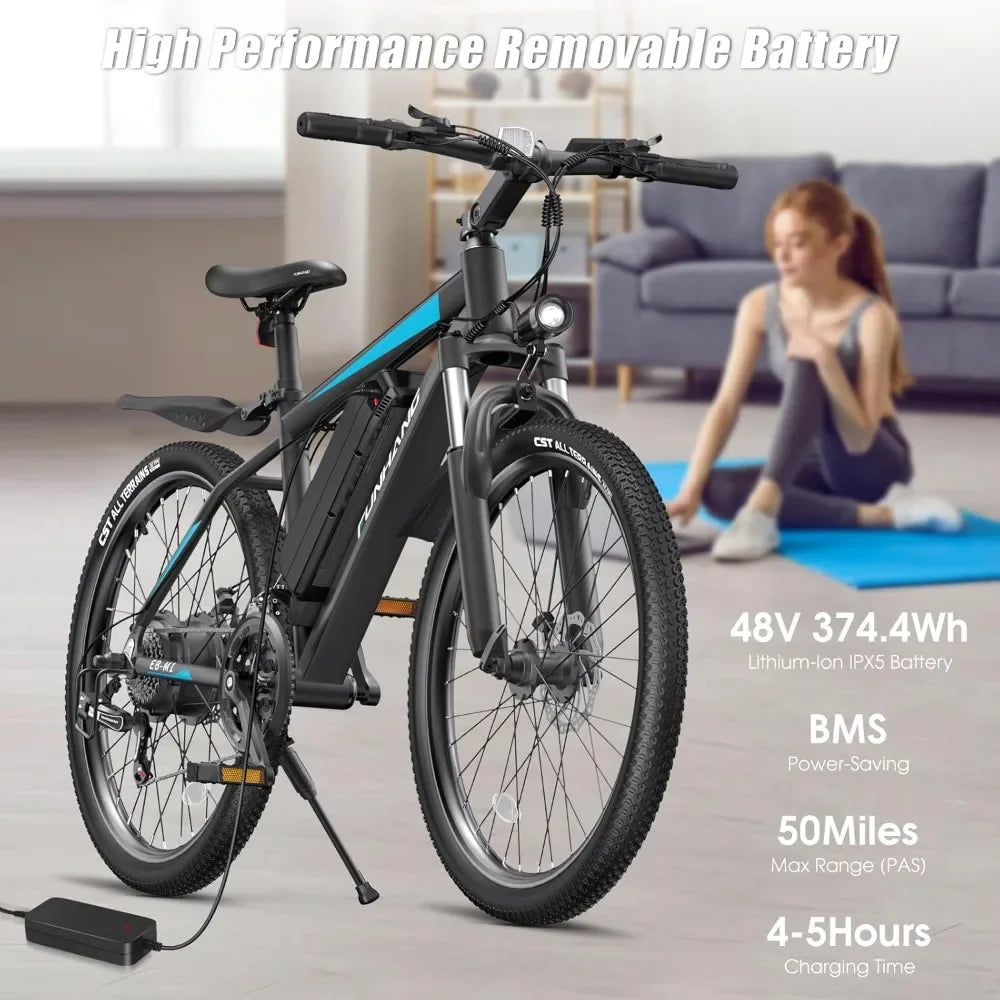 Adult Electric Bike