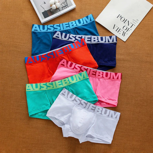 Men’s Low Waist Cotton Briefs