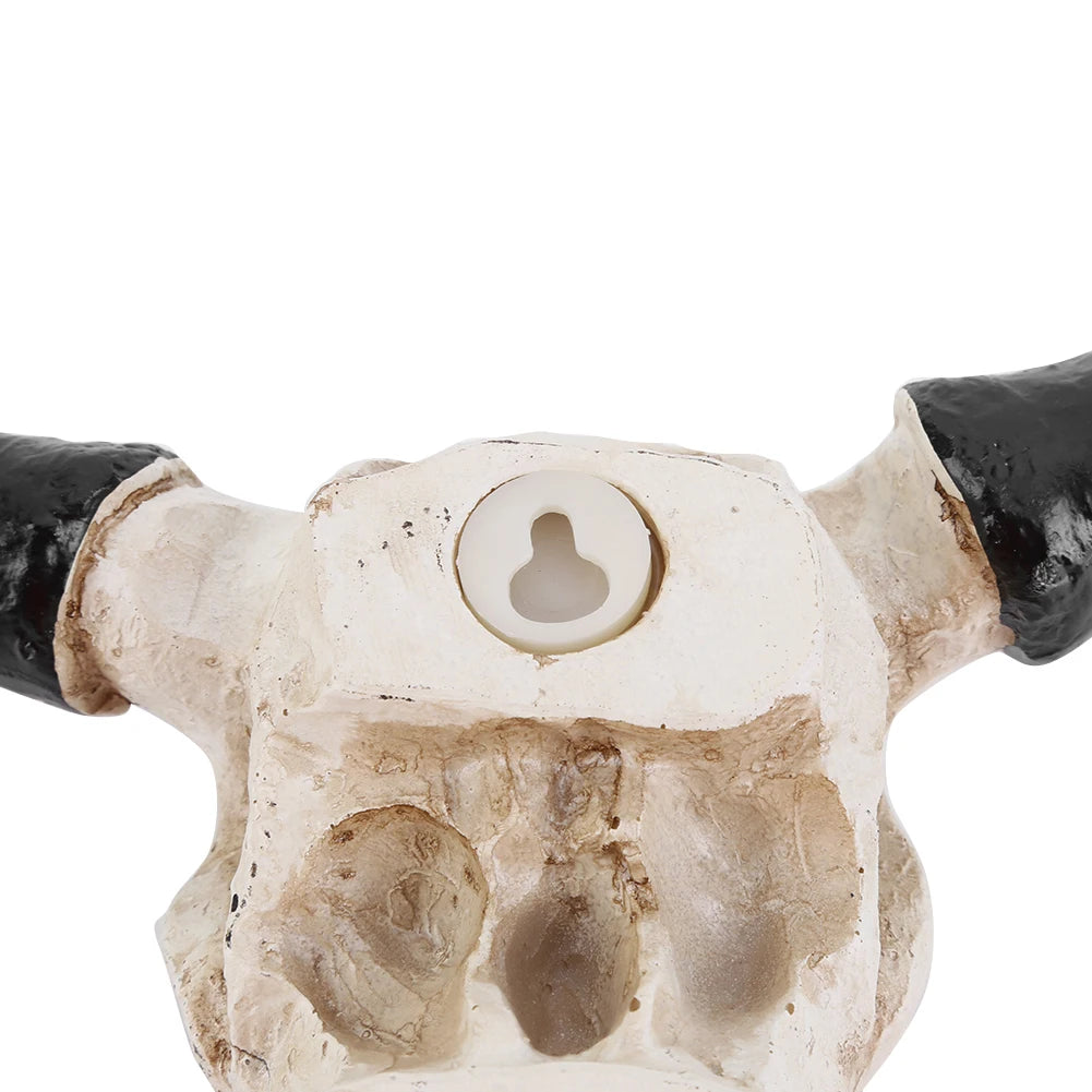 Longhorn Cow Skull Head Wall Ornament