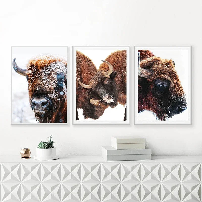 Bison Poster Modern Animal Snow Cow Wall Art